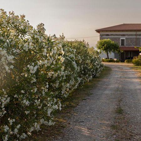 Agri Charme Tenuta Picilli Villa Albanella Exterior foto